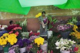为危地马拉母亲节准备的鲜花