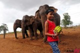 斯里兰卡野生动物保护区域