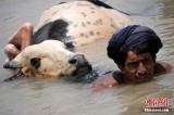巴基斯坦暴雨50人死亡