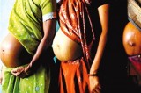 印度代孕呈现“产业规模”