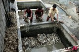 孟加拉制革工人面临健康威胁