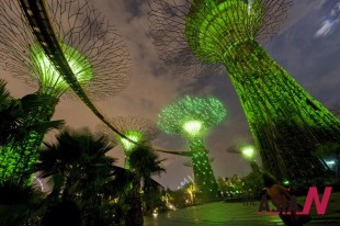 新加坡海湾公园引人注目的“超级树”  图片： （韩）NEWSis